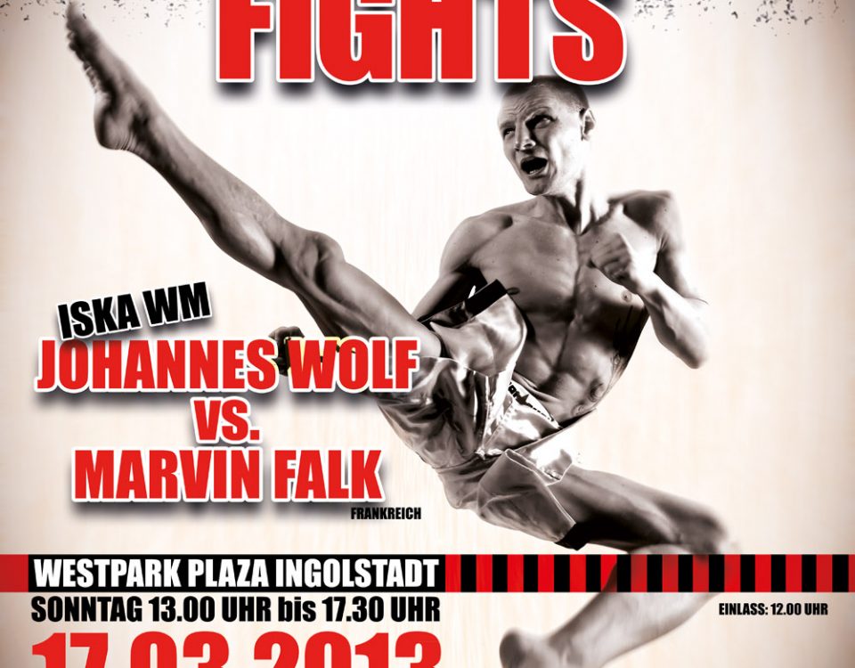Plaza Fights 2013